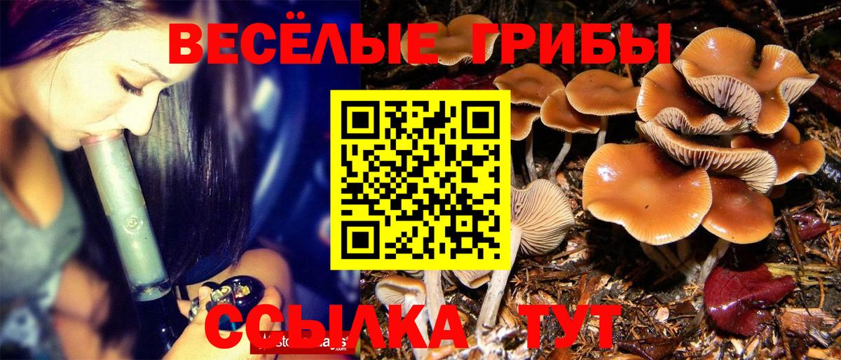 Псилоцибиновые грибы GOLDEN TEACHER  Вход с VPN  Псилоцибиновые грибы MAGIC MUSHROOMS  Старый Оскол 