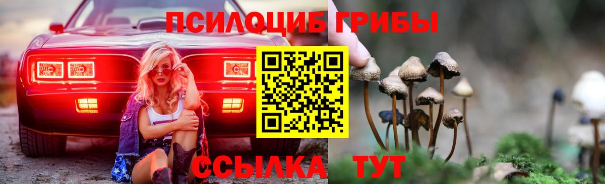 Галлюциногенные грибы MAGIC MUSHROOMS Старый Оскол